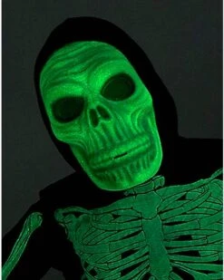 Kids Glow Skeleton Costume -Christmas Central 01525179 d