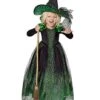 Toddler Green Witch Costume