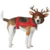 Reindeer Dog Pet Costume