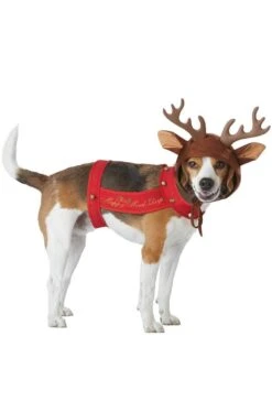 Reindeer Dog Pet Costume