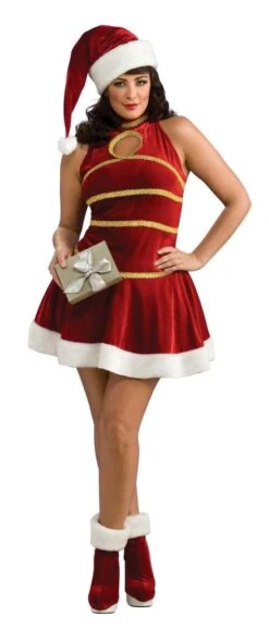 Sexy Female Santa Christmas Dress Adult Plus Costume