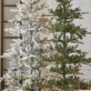 Raz 7.5' Pre-Lit Green Noble Fir Christmas Tree T4147022