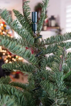 Village Lighting Universal Christmas Tree Topper Holder V-11103 9 Village Lighting Universal Christmas Tree Topper Holder V-11103 -Christmas Central apiylnmow 47410.1646091960