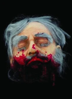 "Big Mouth Severed Head" HD Studios Bloody Halloween Prop -Christmas Central big mouth severed head hd studios bloody halloween prop 8671221889