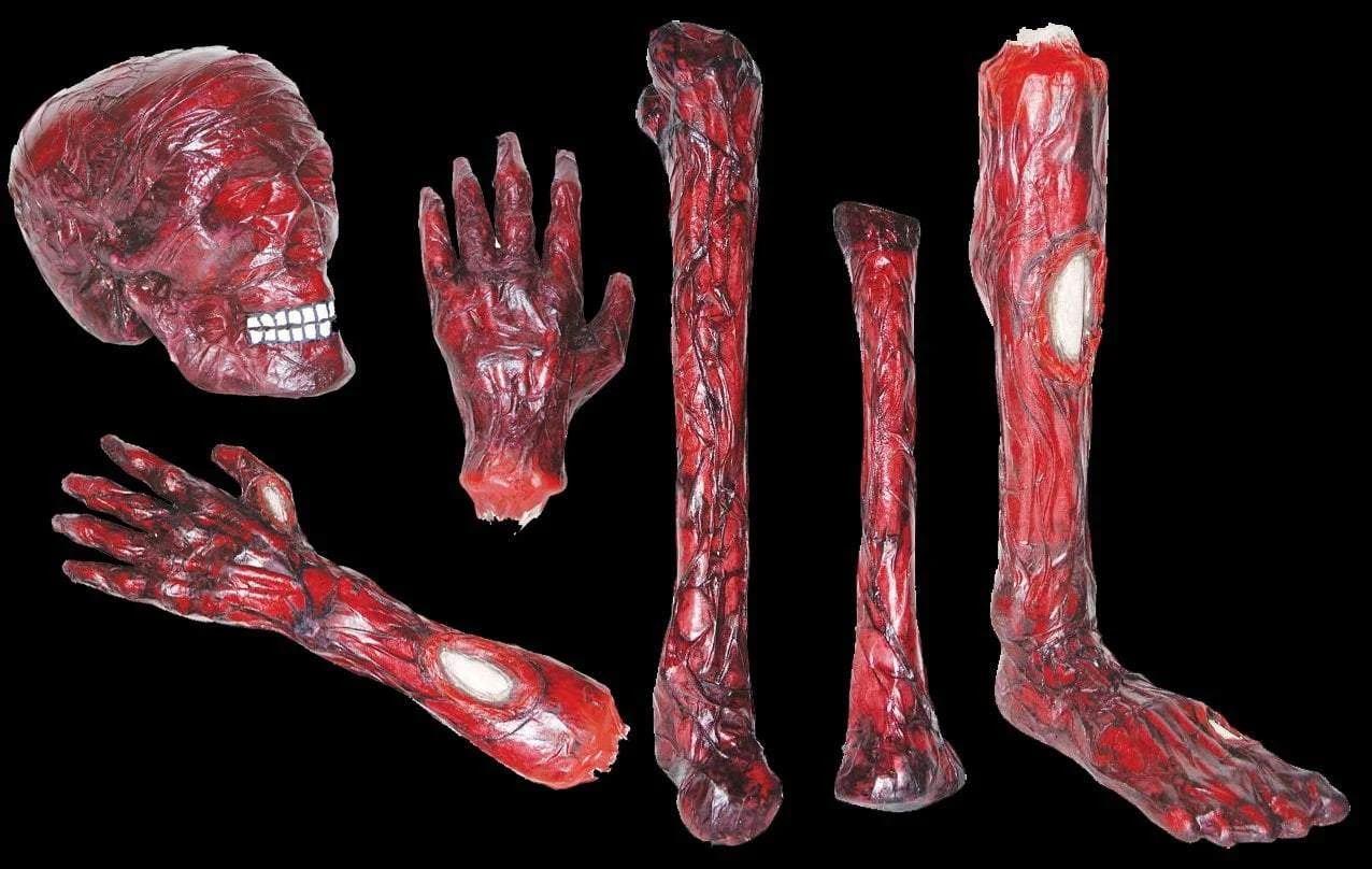 "Burnt Body Parts" Gory Halloween Props - Package Deal 1 "Burnt Body Parts" Gory Halloween Props - Package Deal