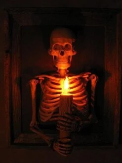 "Framed 3D Skeleton Torso Holding Candle" Hanging Haunted House Decoration -Christmas Central framed 3d skeleton torso holding candle hanging haunted house decoration 28758724247600