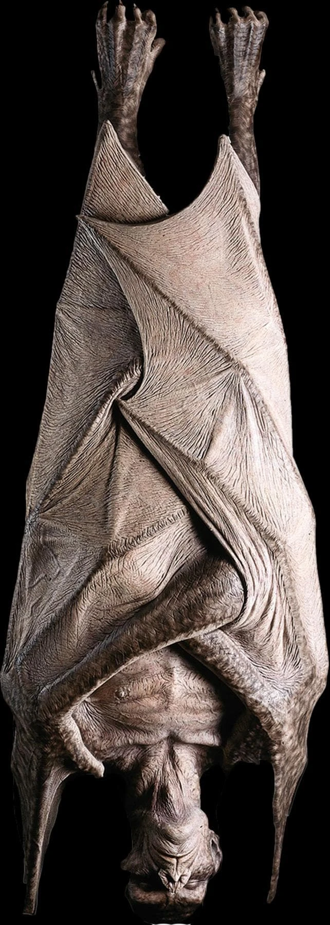 "Hanging Vampire" Monster Halloween Prop 1 "Hanging Vampire" Monster Halloween Prop