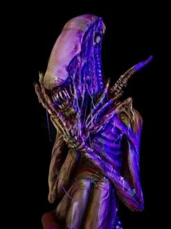 "Hatching Alien" Professional Halloween Prop