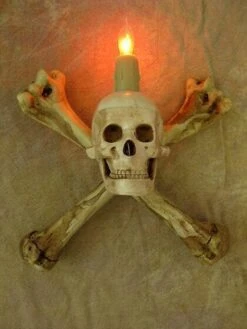 "Haunted Hallway" Haunted House Props - Package Deal -Christmas Central haunted hallway haunted house props package deal 6927041232944