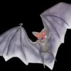 "Light Up Demon Bat" Halloween Animal Prop