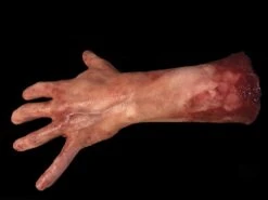 "Severed Left Male Hand - Silicone" Human Body Part Halloween Prop
