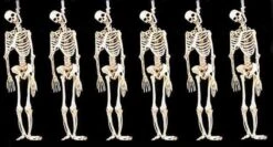 "Skeleton Halloween Props" - 6x Package Deal