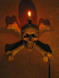 "Skull/Femur Bone Wall Sconce" Haunted House Lighting -Christmas Central skull femur bone wall sconce haunted house lighting 23613103873