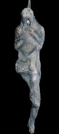 "Spider Victim" Professional Halloween Prop